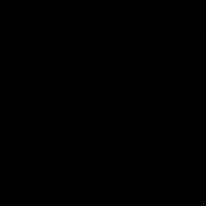 Meet your Posher, Marlee